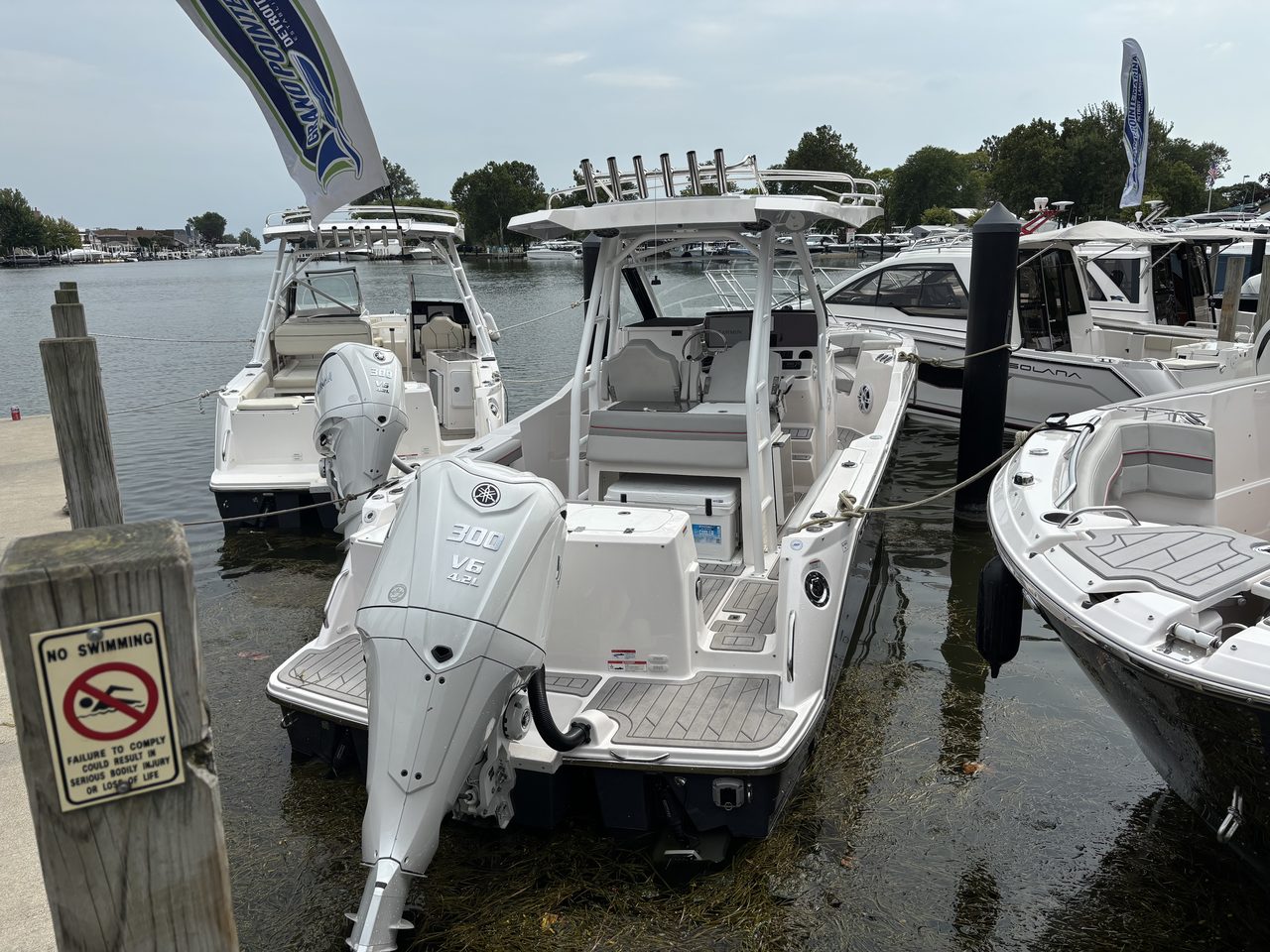 Slide: The Image of Solara S-250 CW 2025 - 65