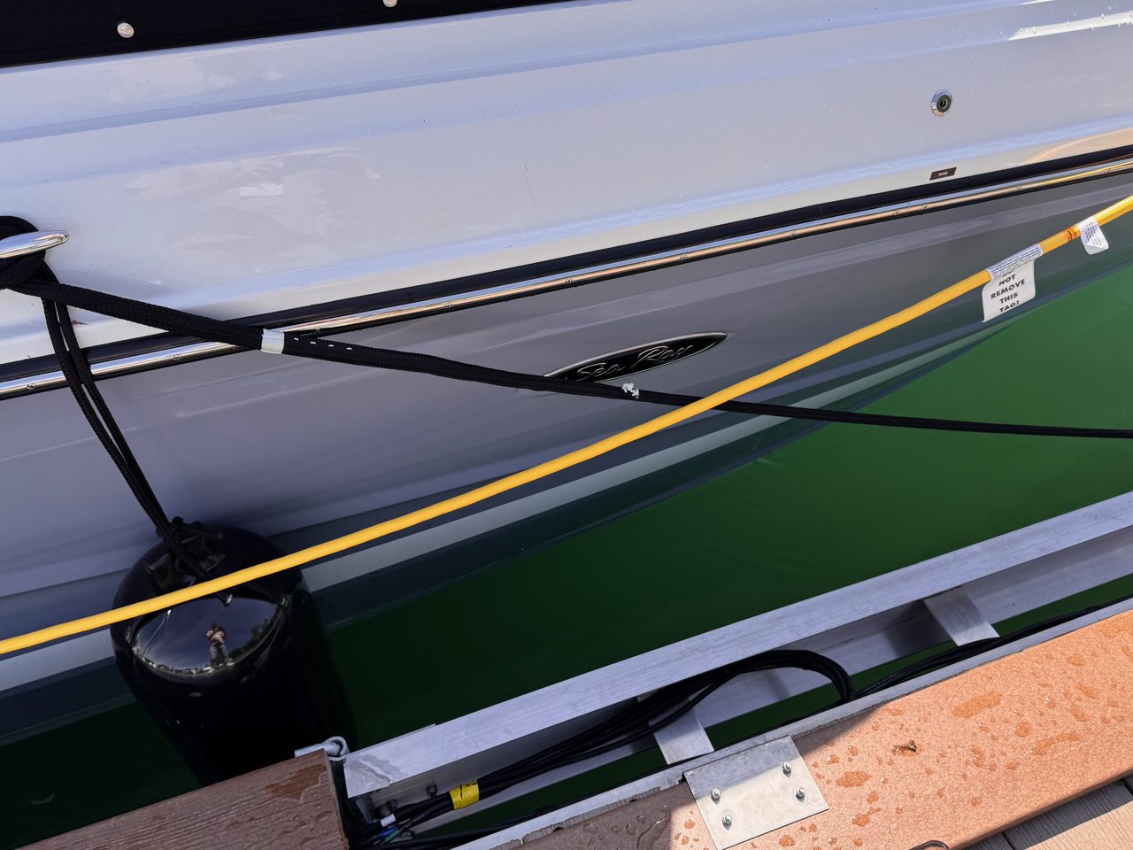 Slide: The Image of Sea Ray SLX 310 Outboard 2026 - 77