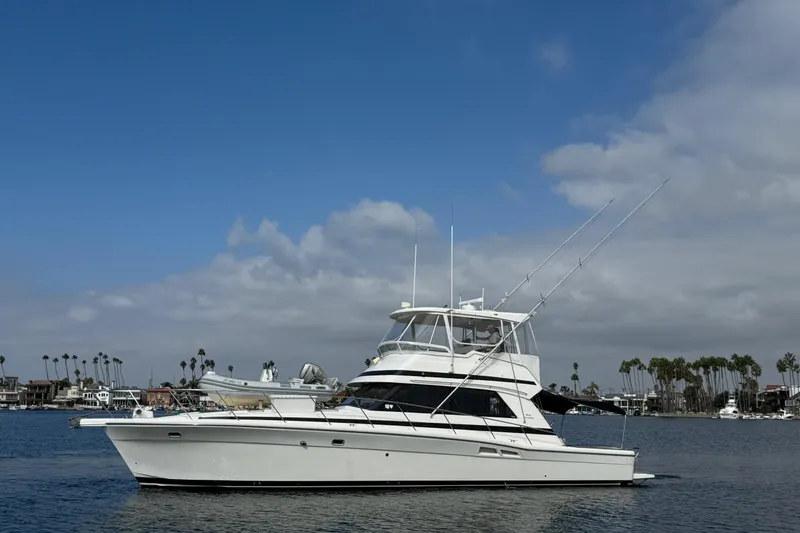 The Image of 1998 Riviera Convertible yacht on calm water under a clear blue sky. - 0