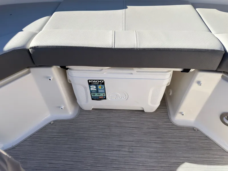 Slide: The Image of Sea Ray SDX 250 2022 - 37