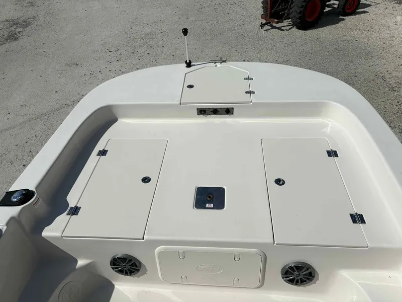 Slide: The Image of Carolina 21LS 2026 - 26