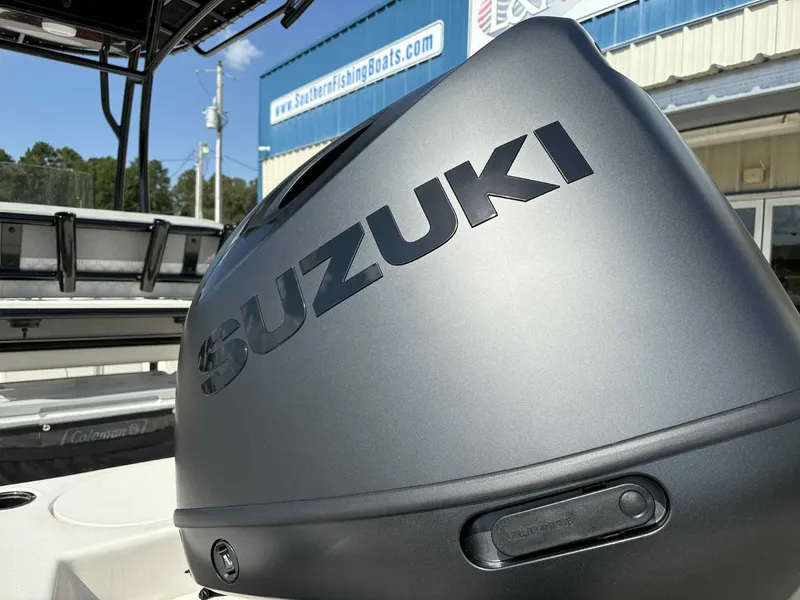 Slide: The Image of Carolina 21LS 2026 - 7