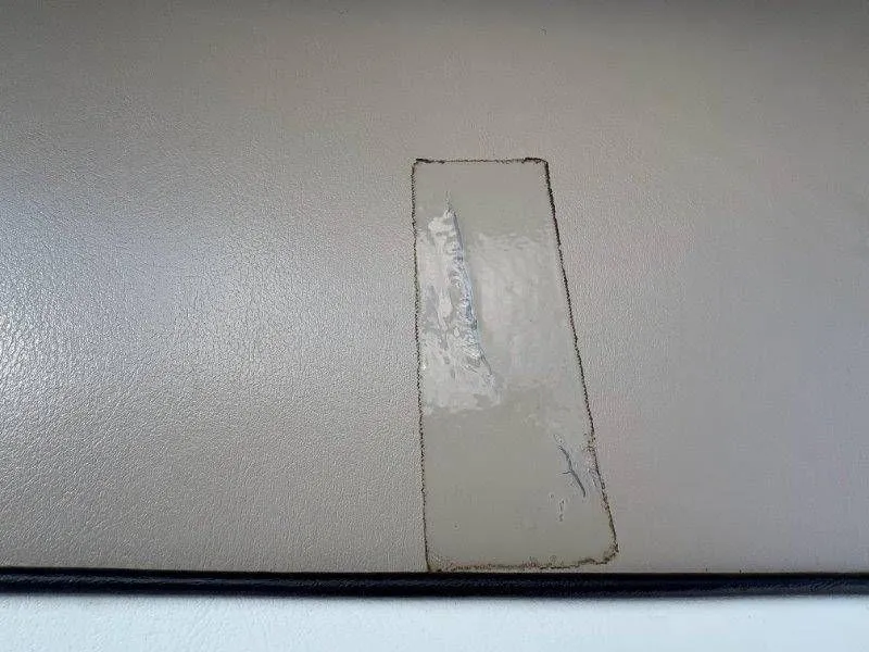 Slide: The Image of Bentley 220 Fish 2009 - 13