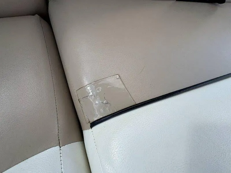 Slide: The Image of Bentley 220 Fish 2009 - 17