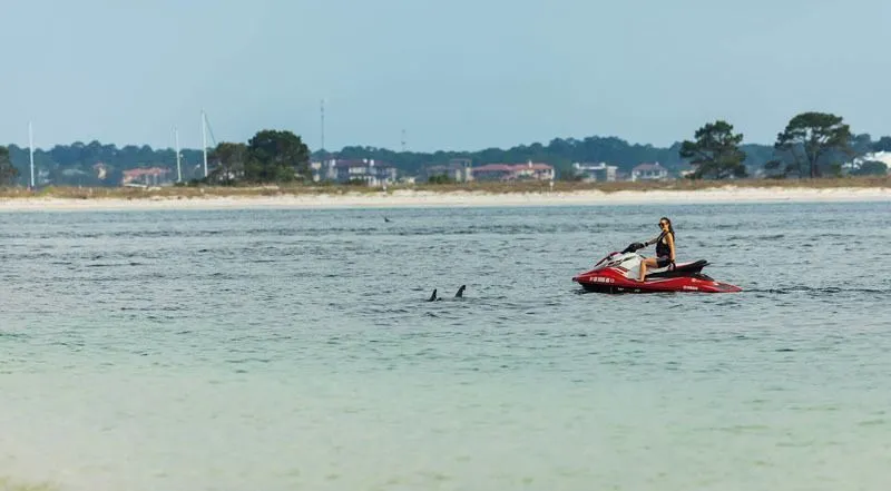 Slide: The Image of Yamaha EX Deluxe 2019 - 13