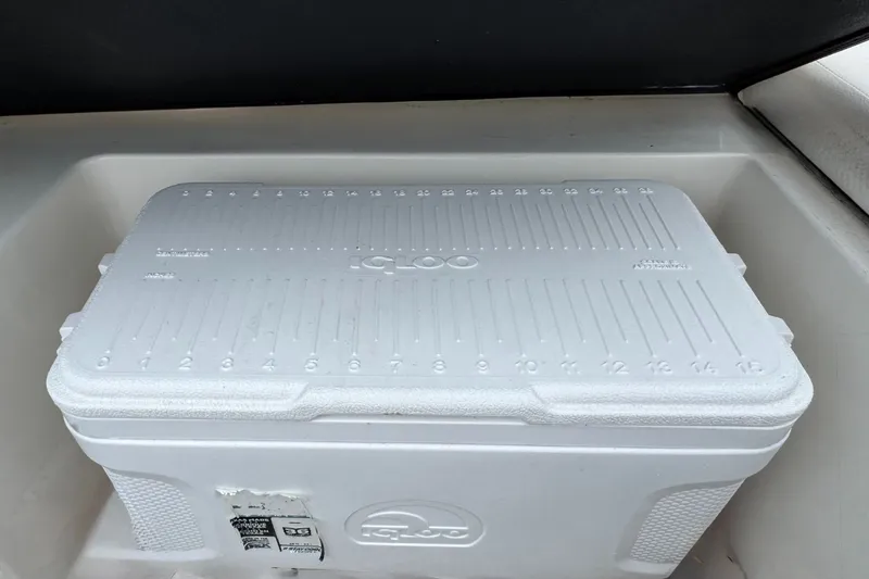 Slide: The Image of Sea Ray SPX 210 Outboard 2021 - 10