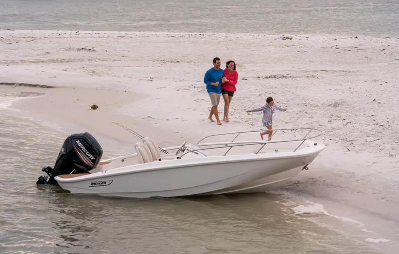 The Image of Boston Whaler 16 sport 2026 - 1