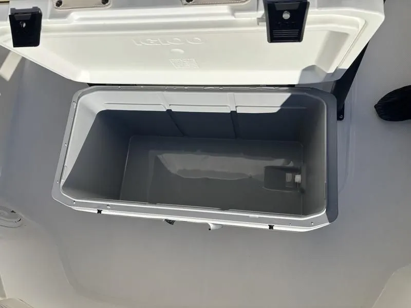 Slide: The Image of Boston Whaler 210 Montauk 2025 - 10