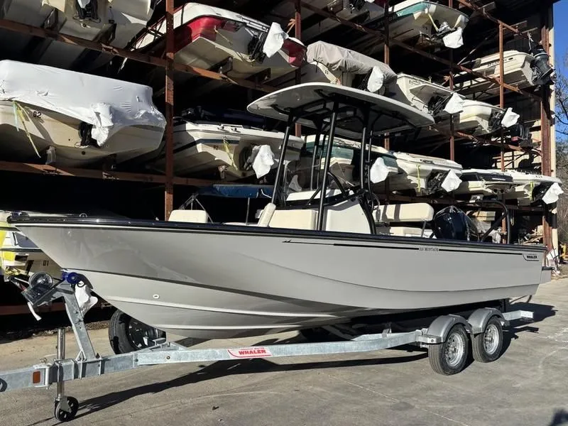 Slide: The Image of Boston Whaler 210 Montauk 2025 - 4