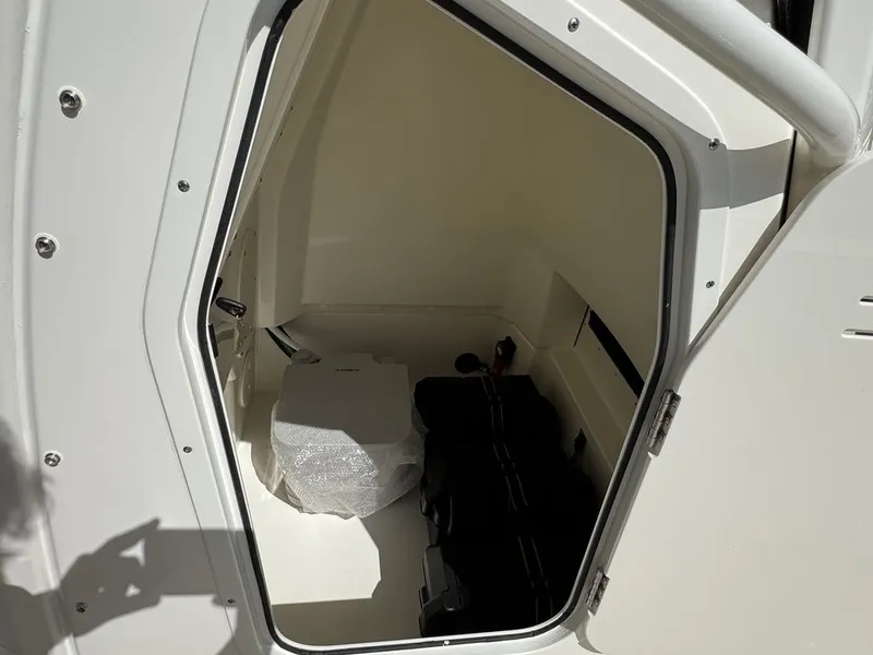 Slide: The Image of Boston Whaler 250 Dauntless 2025 - 21