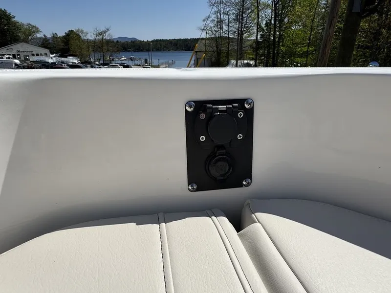 Slide: The Image of Boston Whaler 250 Dauntless 2025 - 27