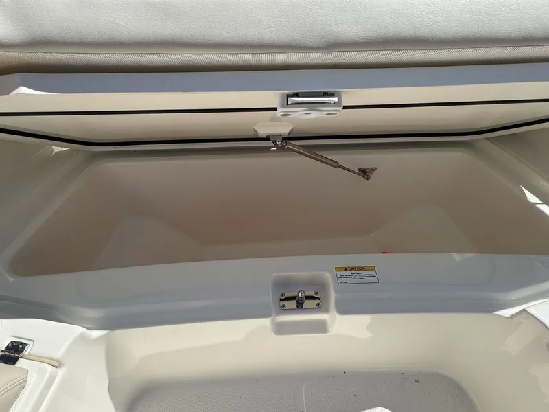 Slide: The Image of Boston Whaler 250 Dauntless 2025 - 28