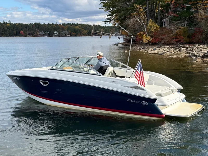 Slide: The Image of Cobalt 242 2010 - 5