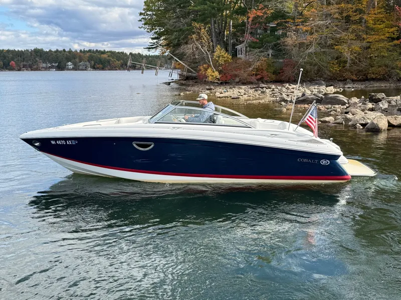 Slide: The Image of Cobalt 242 2010 - 6