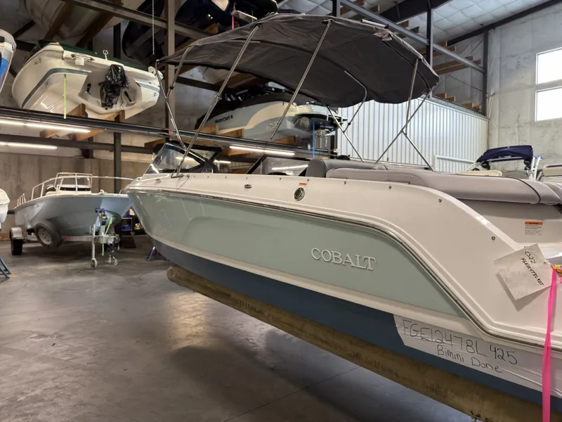 Slide: The Image of Cobalt CS22 2025 - 12