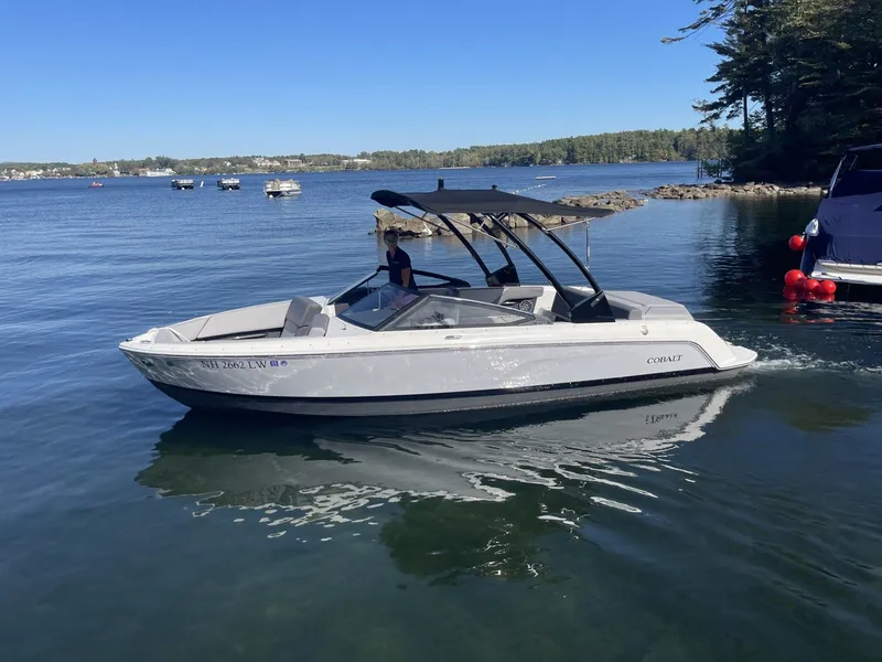 The Image of Cobalt CS22 2025 - 1