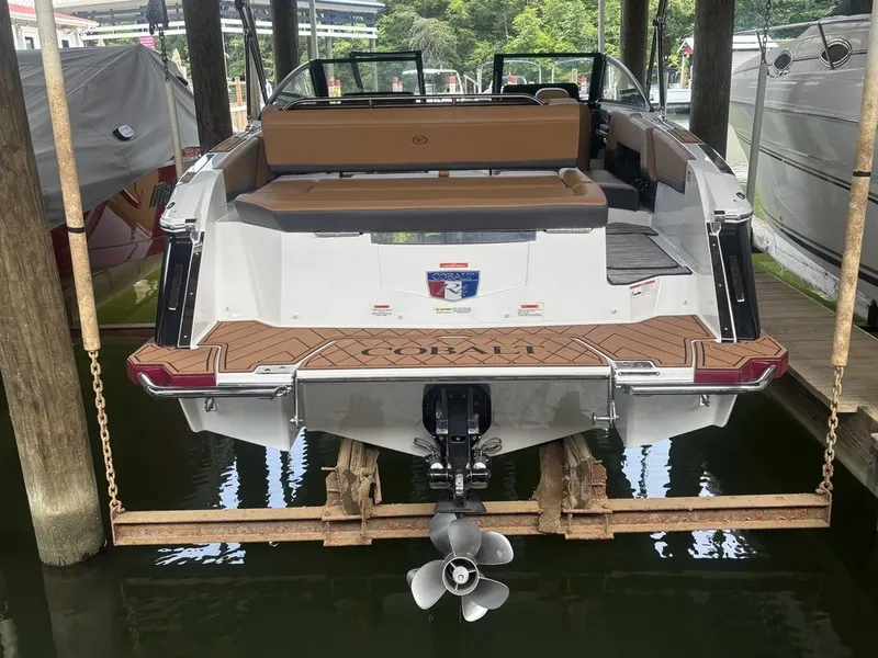 The Image of Cobalt R4 2025 - 1