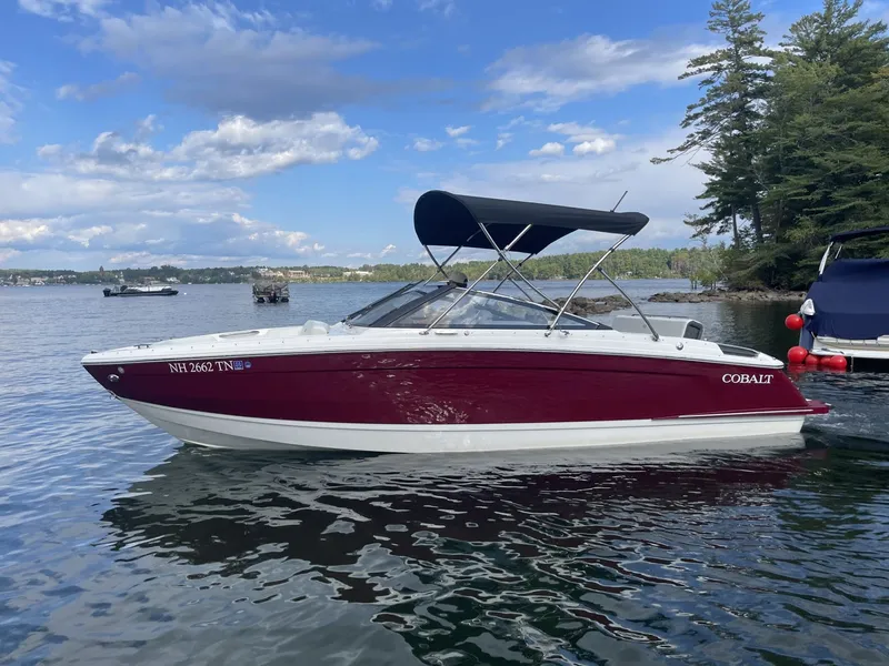 The Image of Cobalt R4 2025 - 1