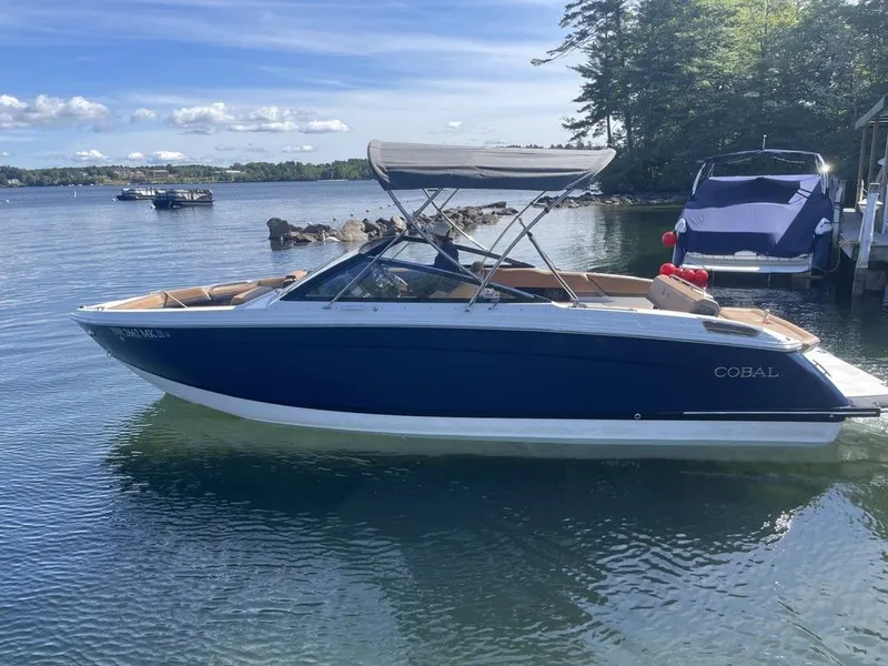 The Image of Cobalt R6 2025 - 1