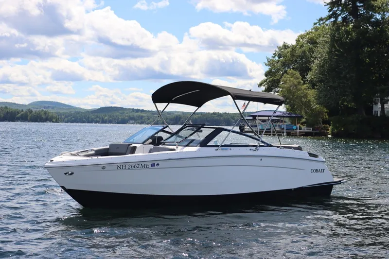 The Image of Cobalt R6 2025 - 1