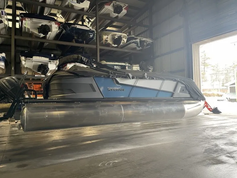 Slide: The Image of Sylvan A22 LZ DH SPORT 2025 - 4