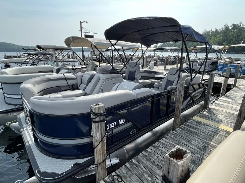 The Image of Sylvan L-1 LZ 2023 - 1