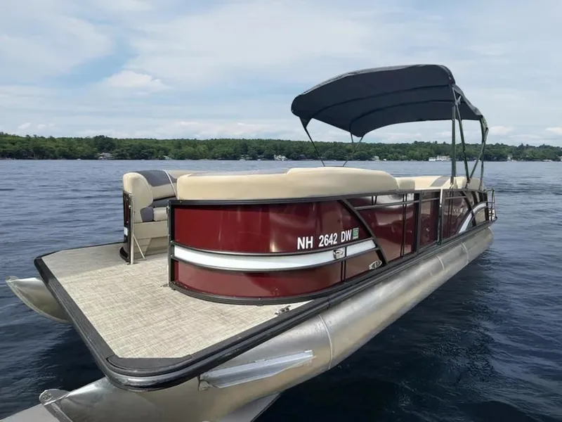 The Image of Sylvan L-5 CLZ 2024 - 1