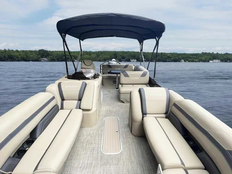 Slide: The Image of Sylvan L-5 CLZ 2024 - 8