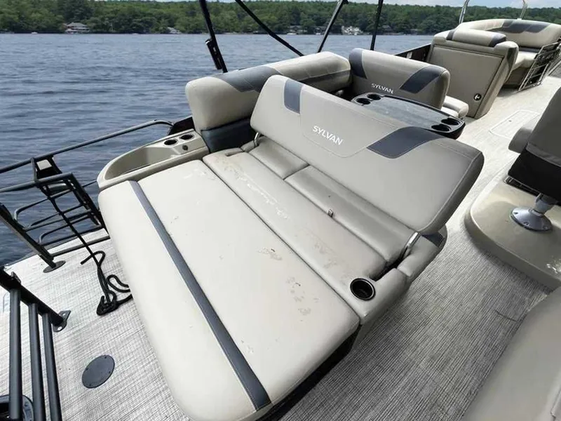 Slide: The Image of Sylvan L-5 CLZ 2024 - 9