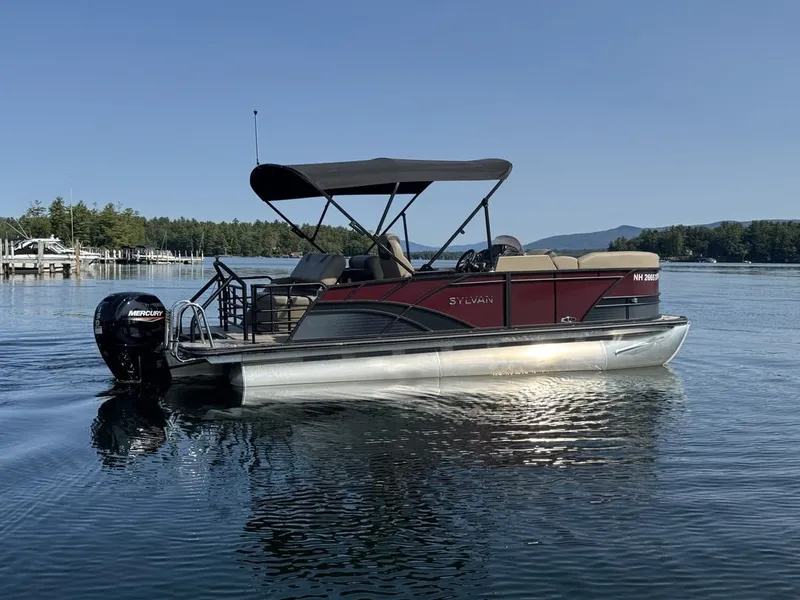 The Image of Sylvan L1 DLZ 2025 - 1