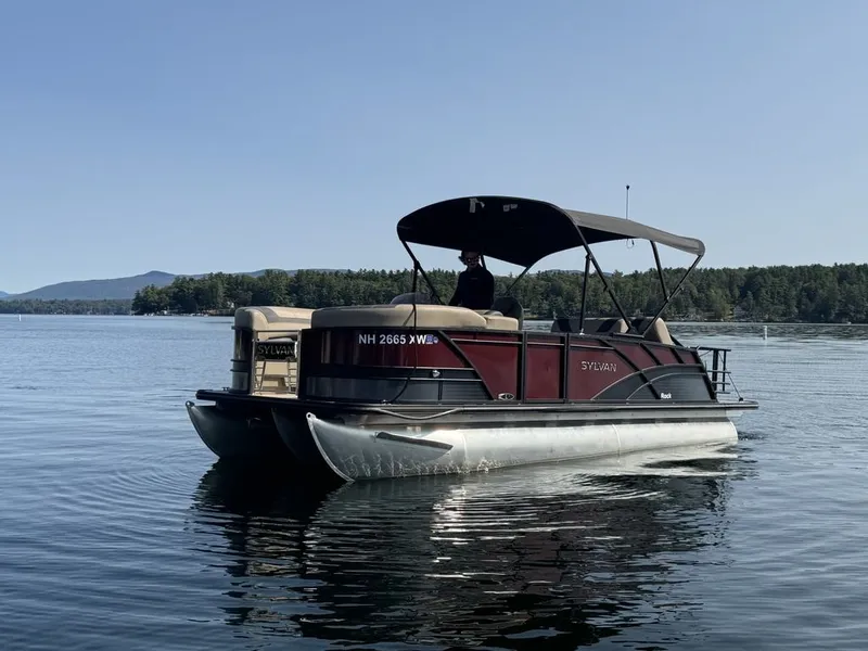 Slide: The Image of Sylvan L1 DLZ 2025 - 10