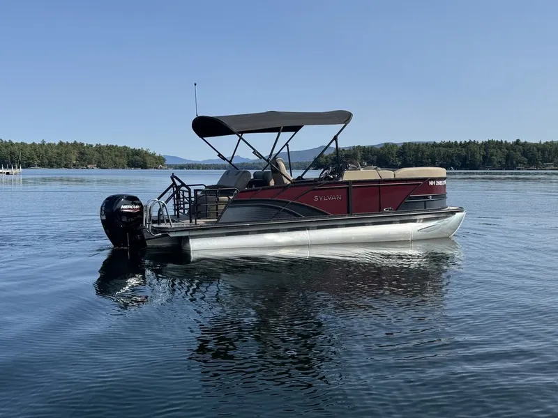 Slide: The Image of Sylvan L1 DLZ 2025 - 2