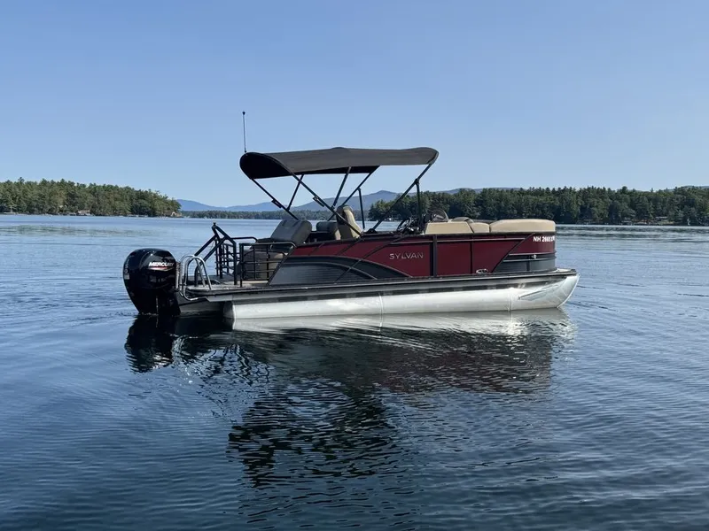 Slide: The Image of Sylvan L1 DLZ 2025 - 3