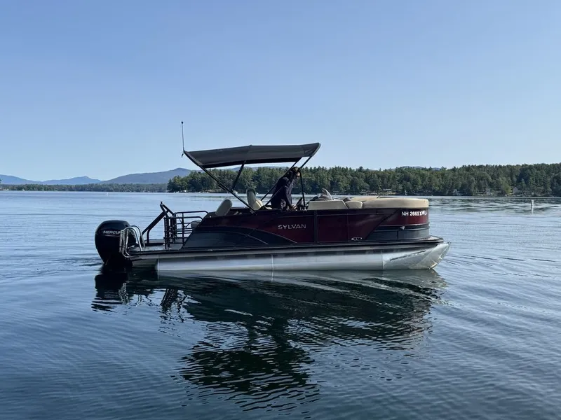 Slide: The Image of Sylvan L1 DLZ 2025 - 4