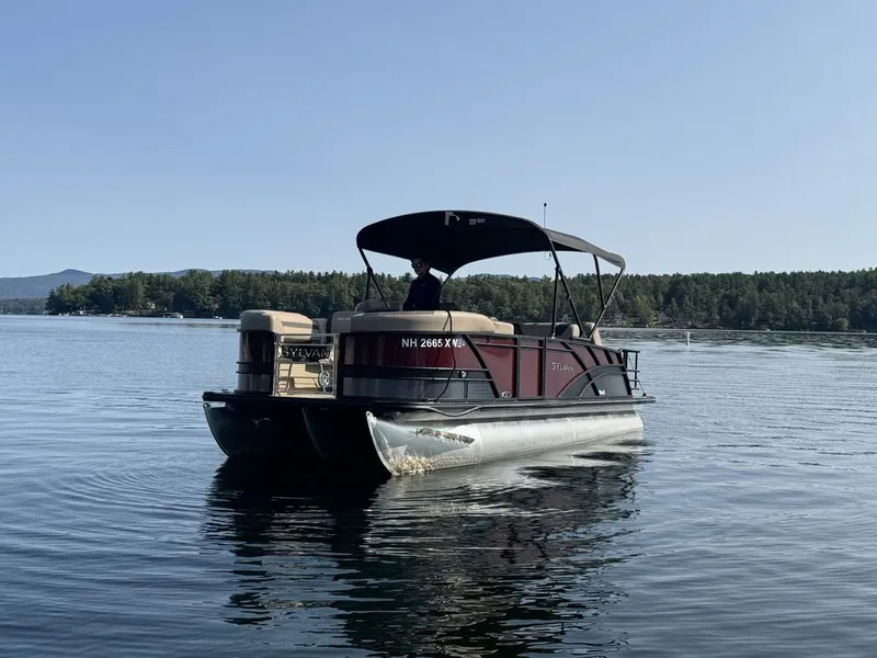 Slide: The Image of Sylvan L1 DLZ 2025 - 8