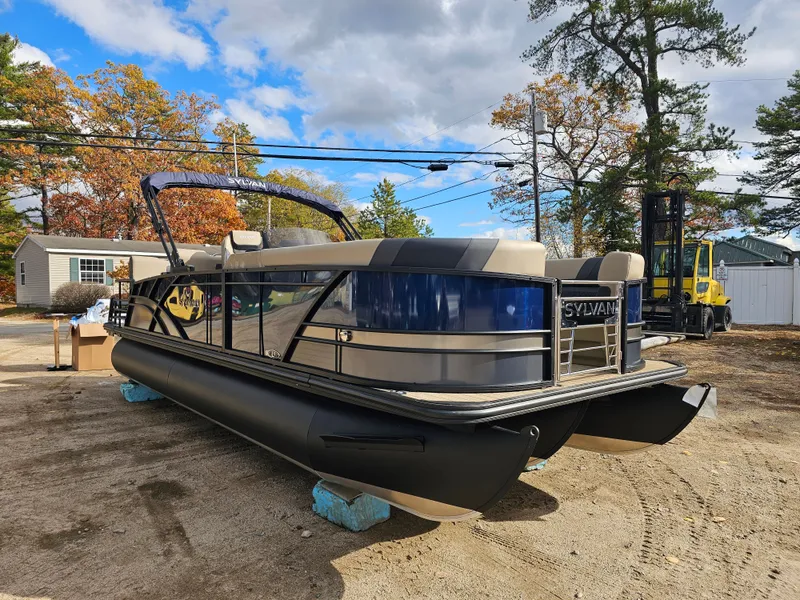 The Image of Sylvan L3 RLZ 2026 - 1