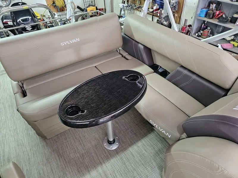 Slide: The Image of Sylvan Mirage 8522 CLZ 2025 - 12