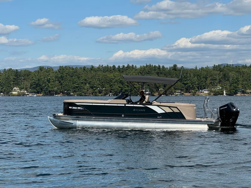 Slide: The Image of Sylvan S-5 LZ DC 2025 - 11