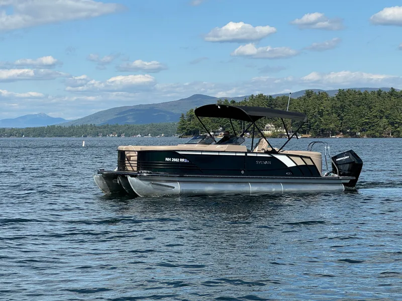 Slide: The Image of Sylvan S-5 LZ DC 2025 - 12