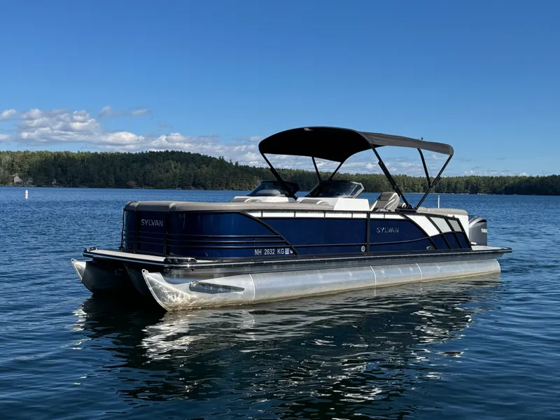 The Image of Sylvan S-5 LZ DC 2023 - 1