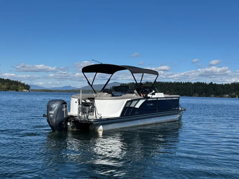 Slide: The Image of Sylvan S-5 LZ DC 2023 - 10