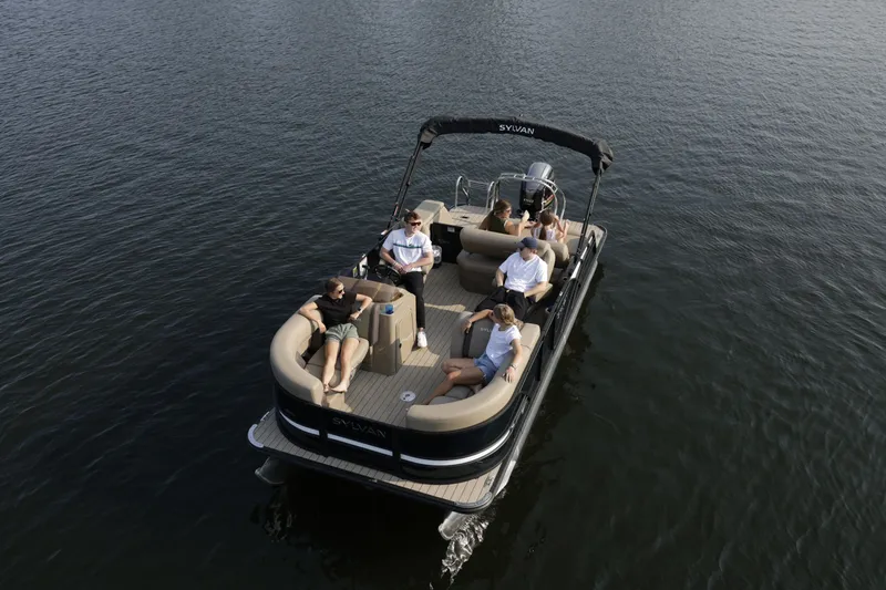 The Image of Sylvan X1 CLZ D 2026 - 1