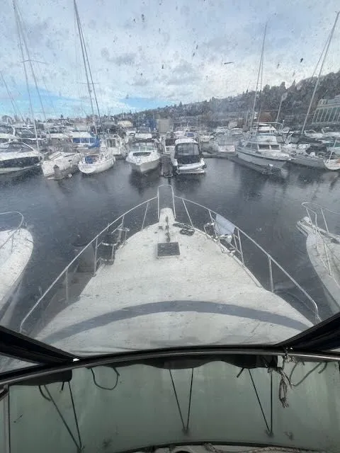 Slide: The Image of Tollycraft 34 Sundeck 1986 - 15