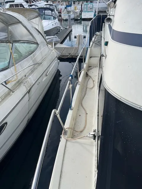 Slide: The Image of Tollycraft 34 Sundeck 1986 - 17