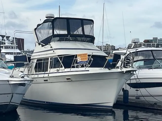 Slide: The Image of Tollycraft 34 Sundeck 1986 - 2