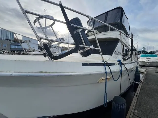 Slide: The Image of Tollycraft 34 Sundeck 1986 - 3