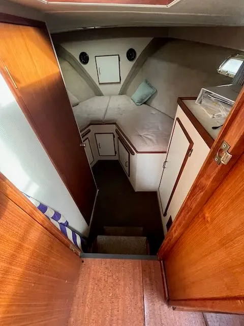 Slide: The Image of Tollycraft 34 Sundeck 1986 - 50