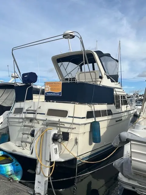 Slide: The Image of Tollycraft 34 Sundeck 1986 - 6