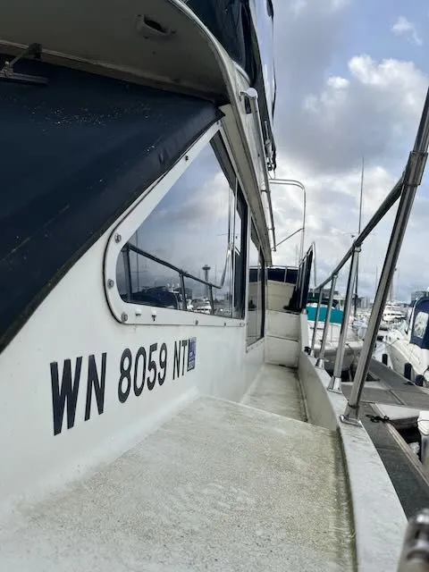 Slide: The Image of Tollycraft 34 Sundeck 1986 - 63