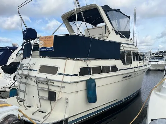 Slide: The Image of Tollycraft 34 Sundeck 1986 - 65